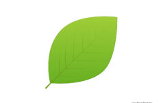 Leaf Templates Leaf Coloring Pages For Kids Leaf Printables Tim s