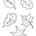 10 Best Fall Leaves Printable Templates Printablee