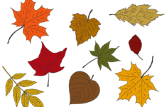 10 Best Fall Leaves Printables Printablee