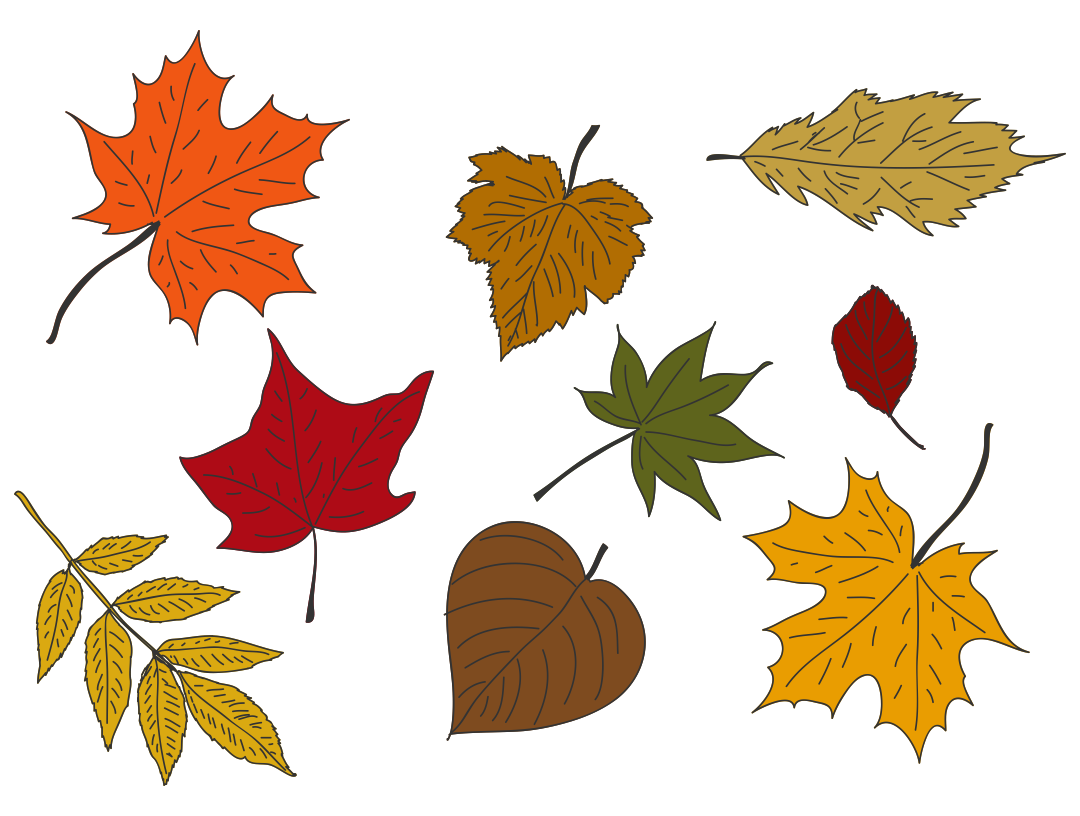 10 Best Fall Leaves Printables Printablee