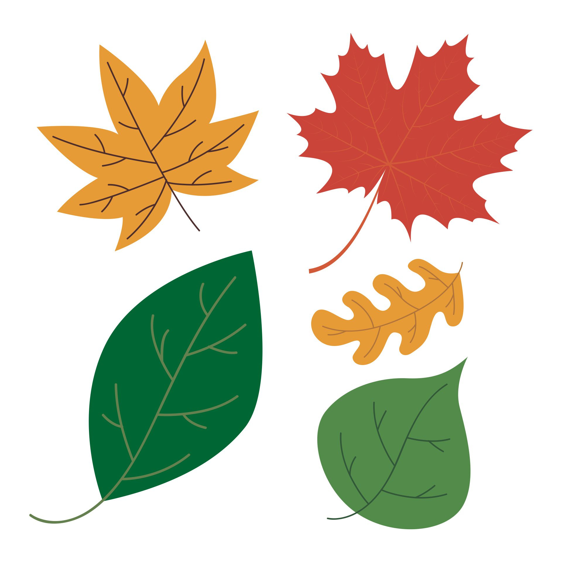 10 Best Fall Leaves Worksheets Printables Printablee