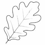 10 Best Oak Leaf Stencil Printable Printablee