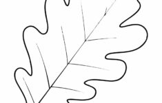 10 Best Oak Leaf Stencil Printable Printablee