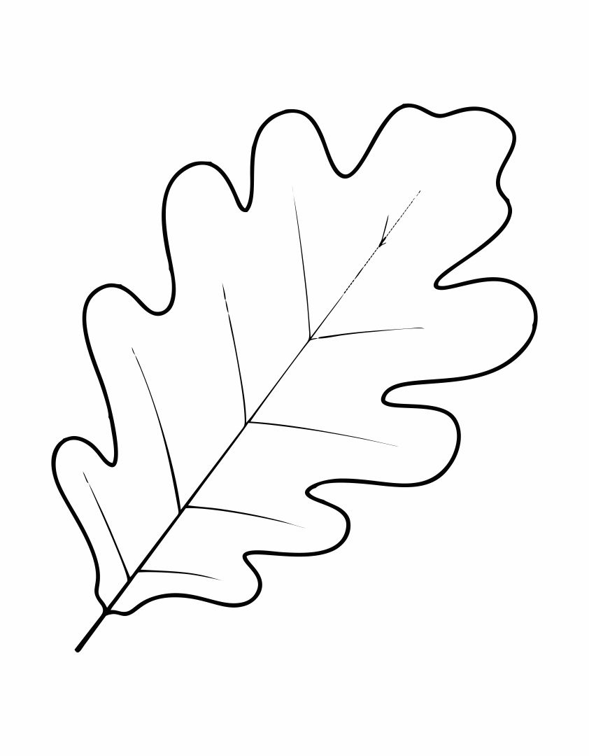 10 Best Oak Leaf Stencil Printable Printablee