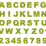 13 Vintage Leaf Font Alphabet Images Vintage Font Alphabet Letters