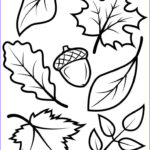 15 Elegant Fall Coloring Sheets Printable Photos Fall Coloring Sheets