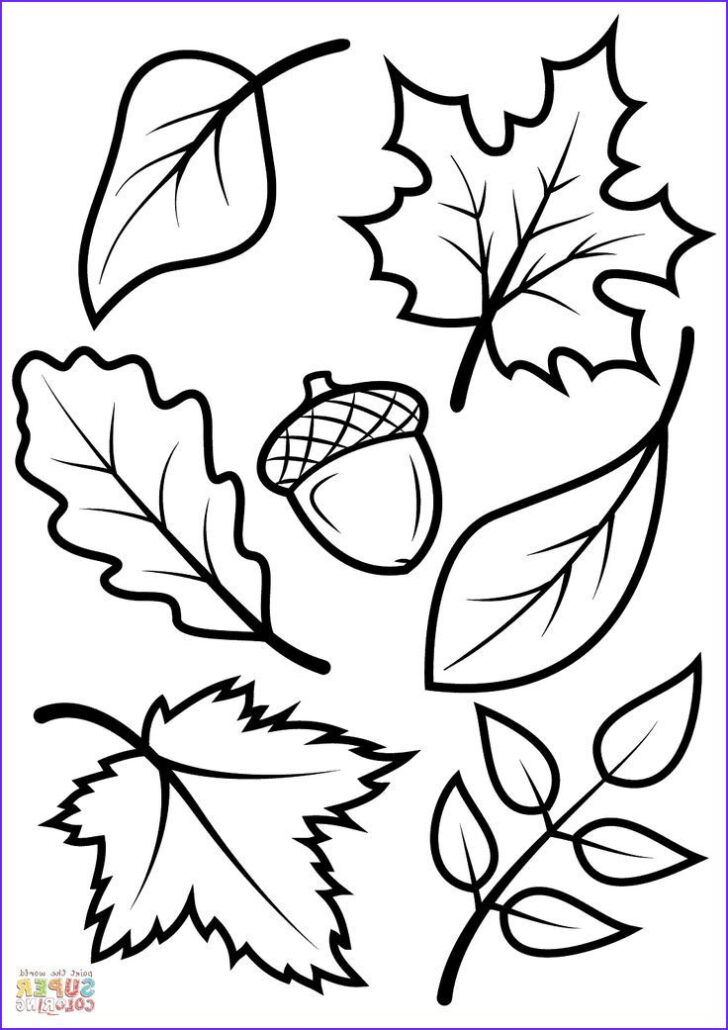 FREE Printable Fall Leaves Coloring Pages