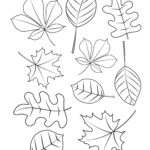 20 Fall Leaves Coloring Sheet Image School Info