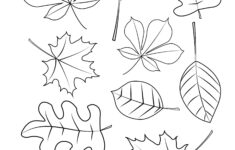20 Fall Leaves Coloring Sheet Image School Info