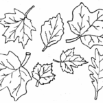 20 Free Printable Fall Leaves Coloring Pages EverFreeColoring