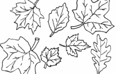 20 Free Printable Fall Leaves Coloring Pages EverFreeColoring