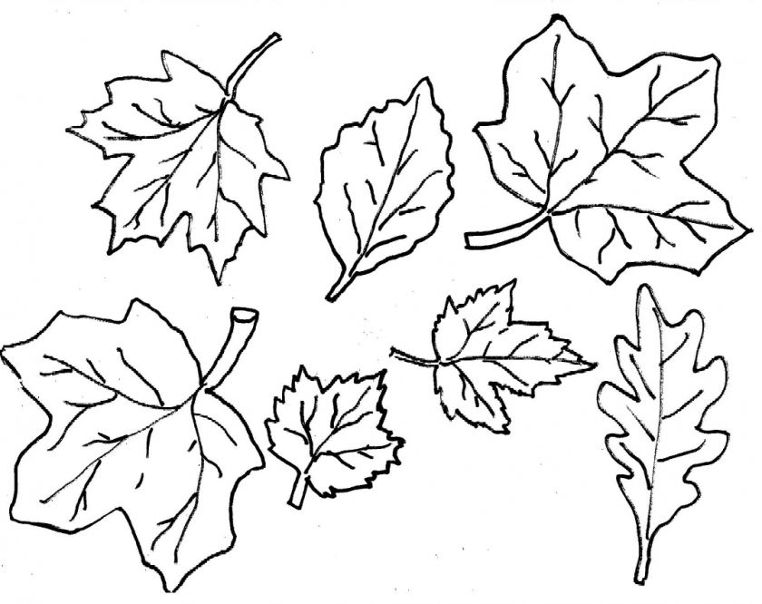 20 Free Printable Fall Leaves Coloring Pages EverFreeColoring