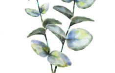 3 Botanical Leaf Prints On Watercolour Paper Art Prints Of Leaf Paintings