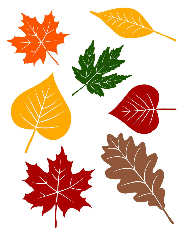 Colored Leaves Printable
