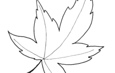 61 Cut Out Printable Leaf Template PNG School Info