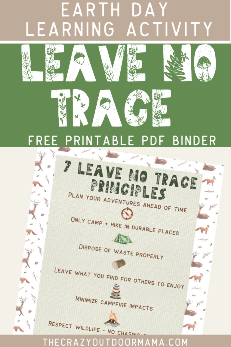 7 Leave No Trace Principles For Backpacking And Camping FREE PDF 