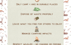 7 Leave No Trace Principles For Backpacking And Camping FREE PDF
