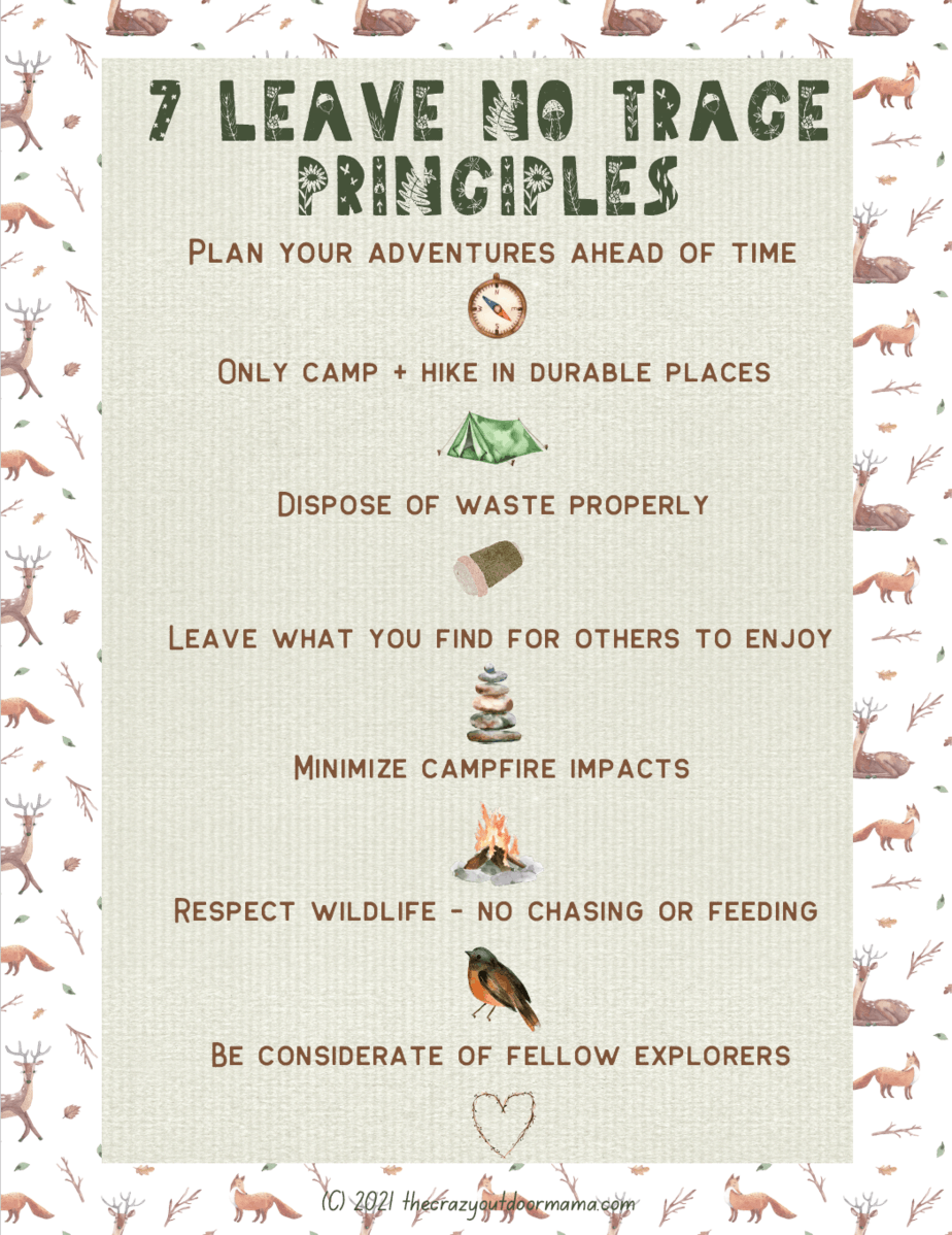 7 Leave No Trace Principles For Backpacking And Camping FREE PDF 