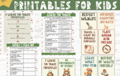 7 Leave No Trace Principles For Backpacking And Camping FREE PDF