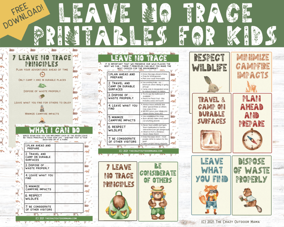 7 Leave No Trace Principles For Backpacking And Camping FREE PDF 