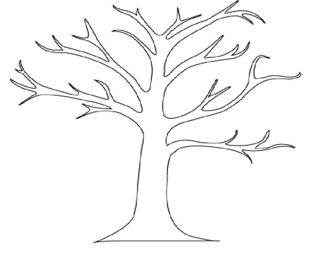 printable-tree-template-no-leaves-printable-leaves