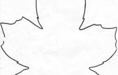 A Maple Leaf Maple Leaf Drawing Leaf Drawing Maple Leaf Art