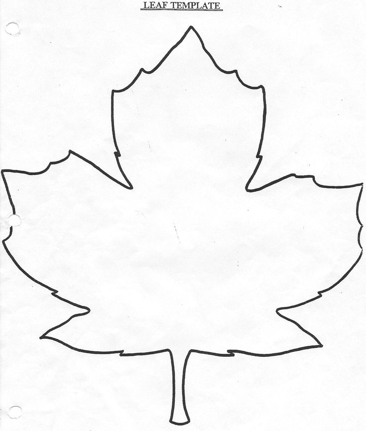 A Maple Leaf Maple Leaf Drawing Leaf Drawing Maple Leaf Art