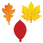 Apple Leaf Template ClipArt Best