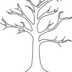 Apple Tree Template Dgn Apple Tree Without Leaves Coloring Pages