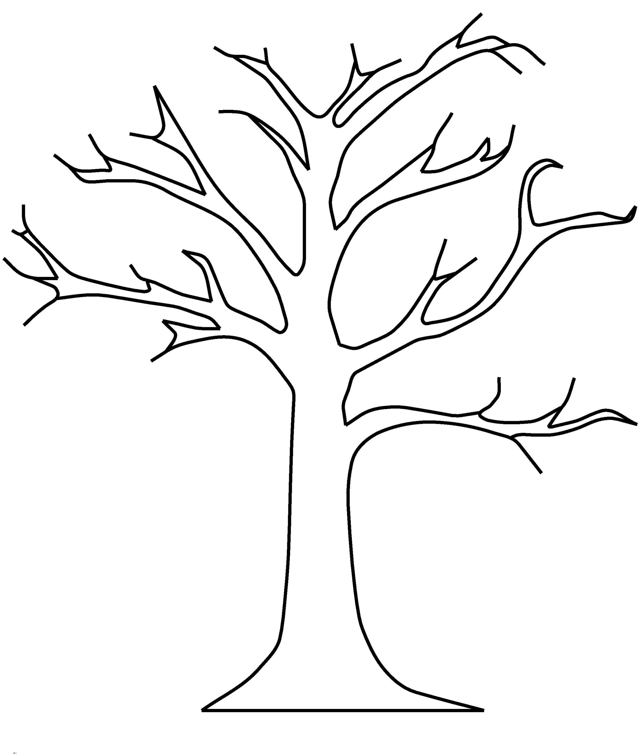 Apple Tree Template dgn Apple Tree Without Leaves Coloring Pages 