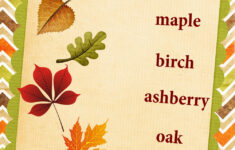 Autumn Fall Song For Children