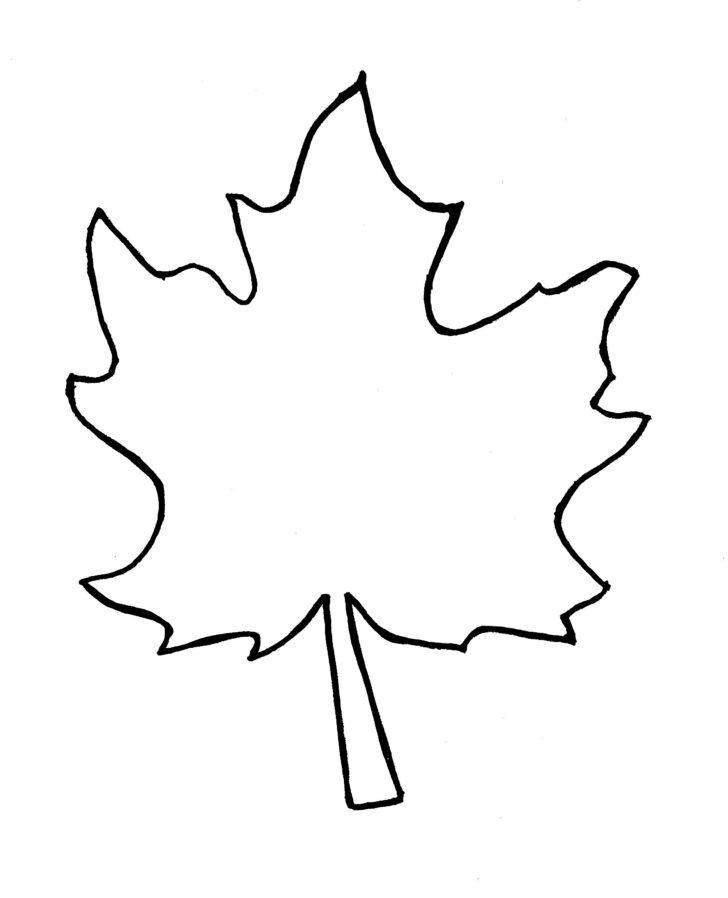 Fall Maple Leaf Template