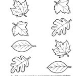 Autumn Leaf Matching Kindergarten Worksheets Printable Kindergarten