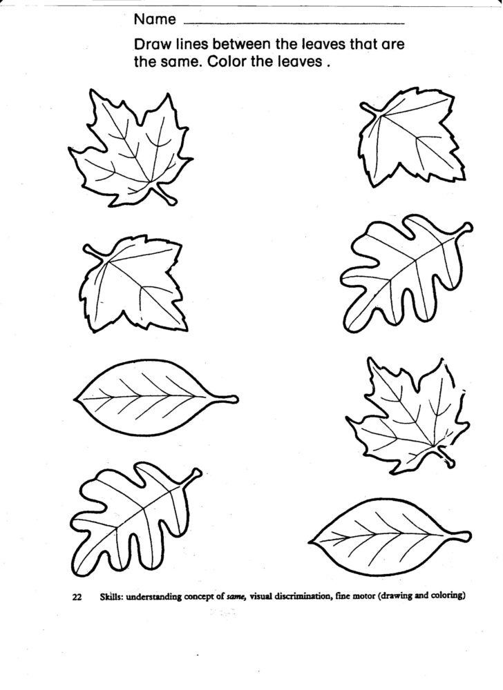 Autumn Leaves Worksheet Printable