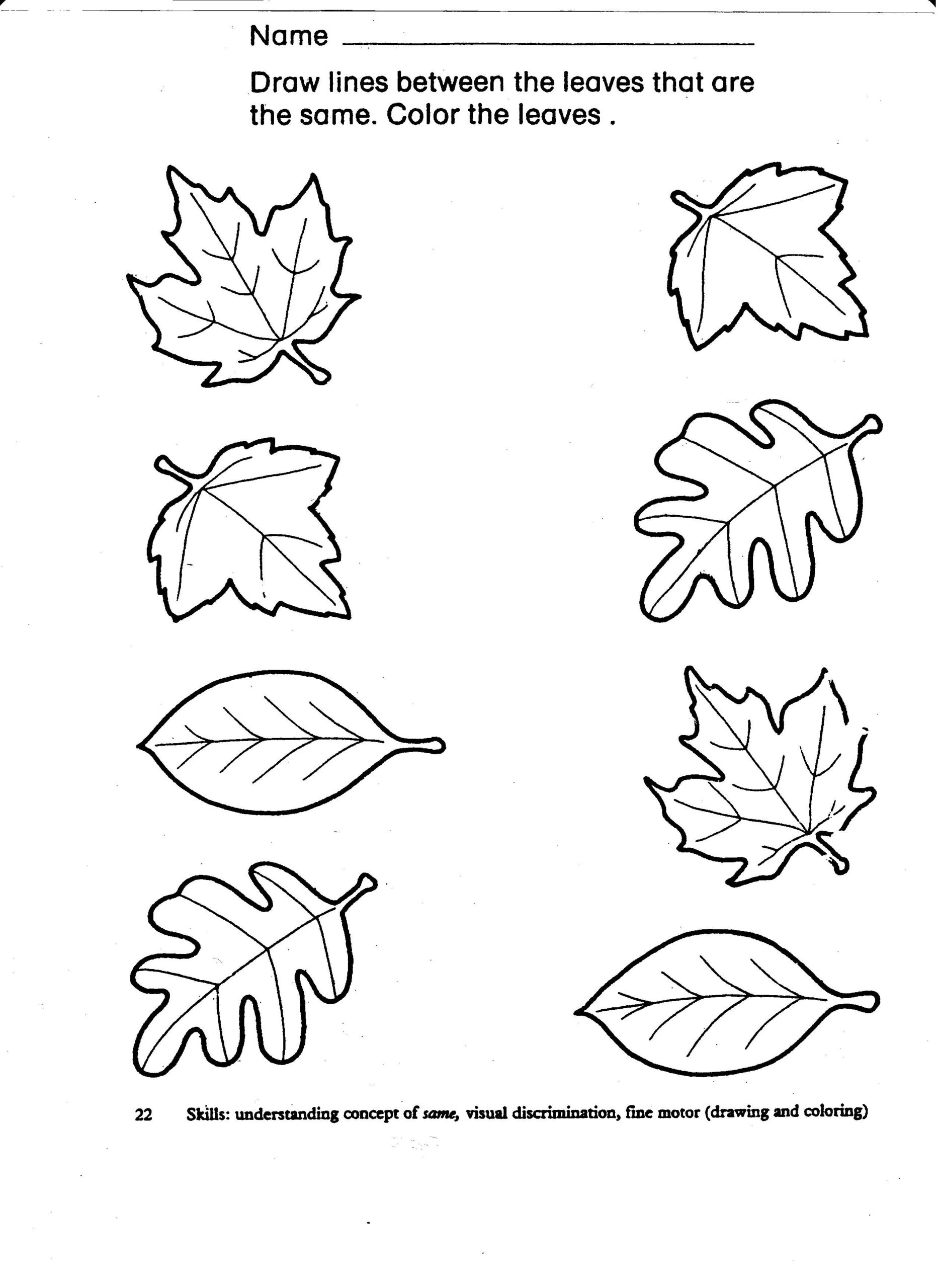 Autumn Leaf Matching Kindergarten Worksheets Printable Kindergarten 