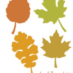Autumn Leaf Template Free Printables FREE PRINTABLE TEMPLATES