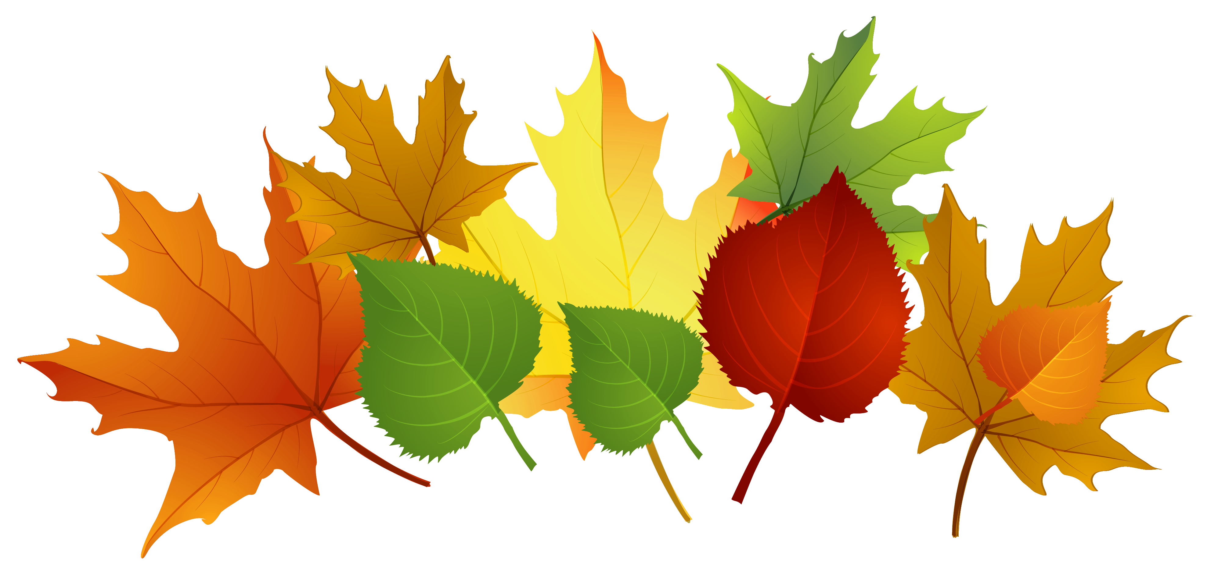 Autumn Leaves Clip Art Cliparts co