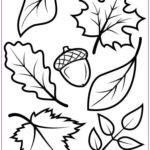 Autumn Leaves Coloring Pages RashadilContreras