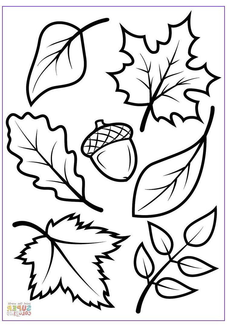 Autumn Leaves Coloring Pages RashadilContreras