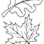 Autumn Leaves In Autumn Coloring Page Color Luna