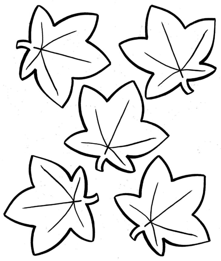 Leaves Printable Coloring Pages