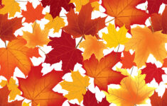 Autumn Maple Leaves Seamless Pattern Floral Background 524597 Vector