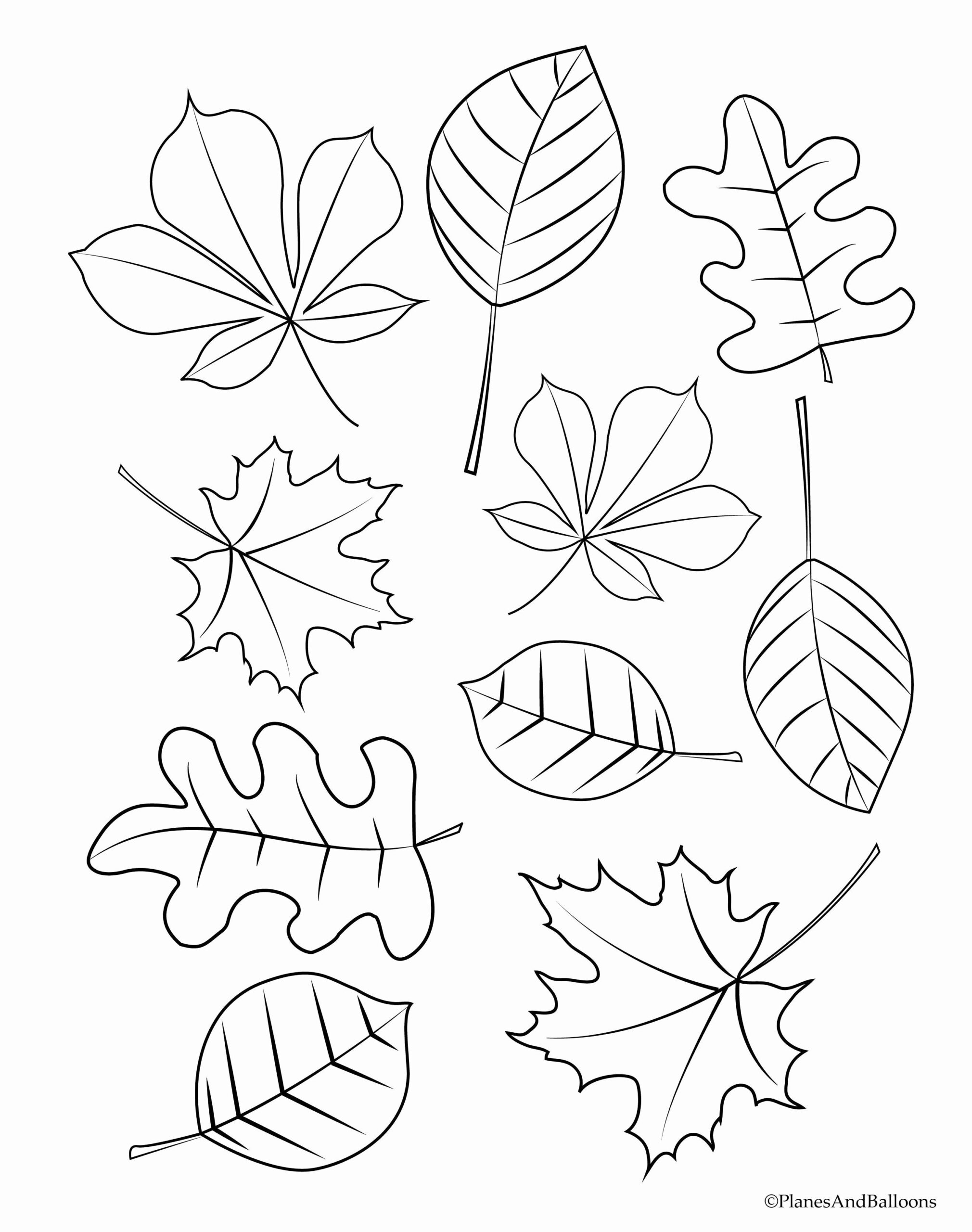 Awasome Autumn Leaves To Color Pages Ideas