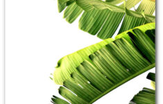 Banana Leaf Printable Printable Word Searches