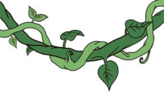 Cartoon Jungle Vines Clip Art Library