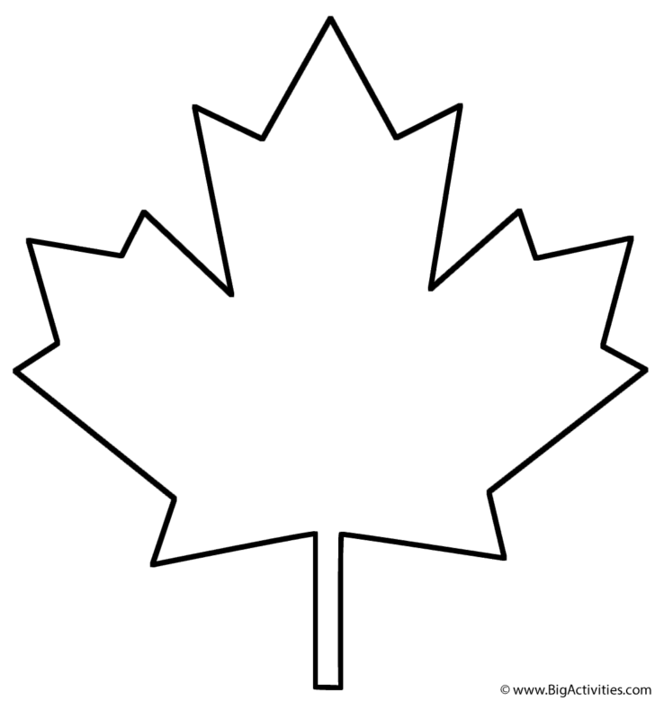 Large Maple Leaf Pattern Printable