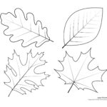 Coloring Pages Leaves Free Printables JoannaecDorsey