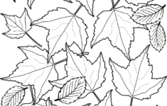 Colouring Autumn Leaves Rooftop Post Printables