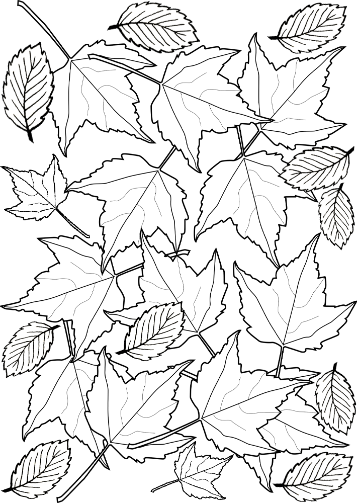 Colouring Autumn Leaves Rooftop Post Printables