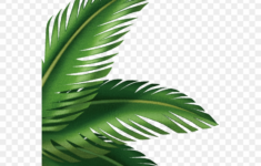 CRMla Tropical Leaves Clipart Transparent